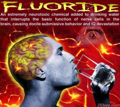 fluoride water filters
